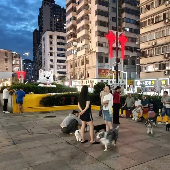 抖圈- 为du而生